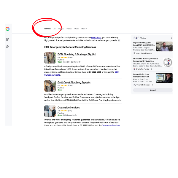 AI Mode local SEO services
